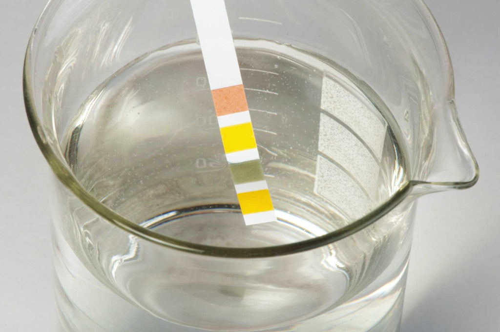 Alkalinity of Water: What It Means, How It Differs From pH & Why It Matters