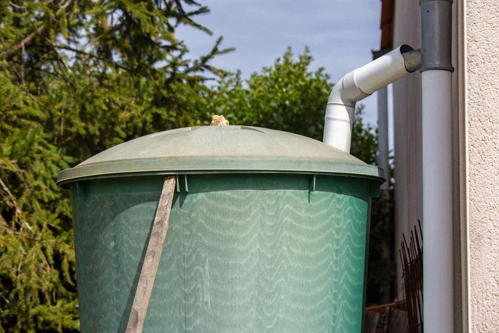 Rainwater Harvesting Guide: Collection, Storage & Treatment