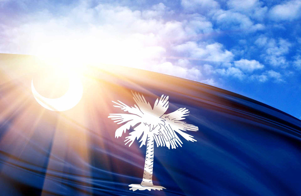 HaloSan In The Drinking Water Of The City Of Denmark, South Carolina