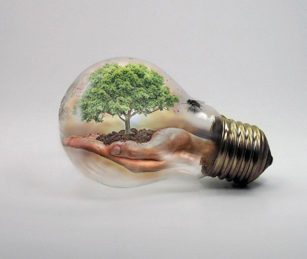 How Climate Change Affects on Public Health