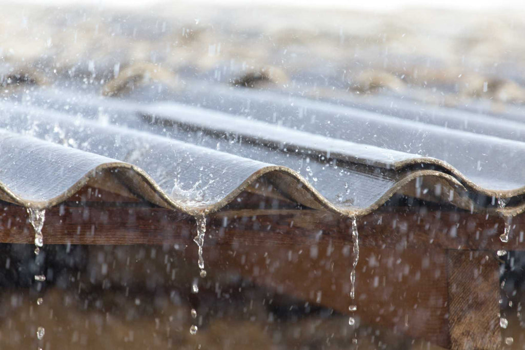 Can You Drink Rainwater? Safety, Risks & Treatment Explained