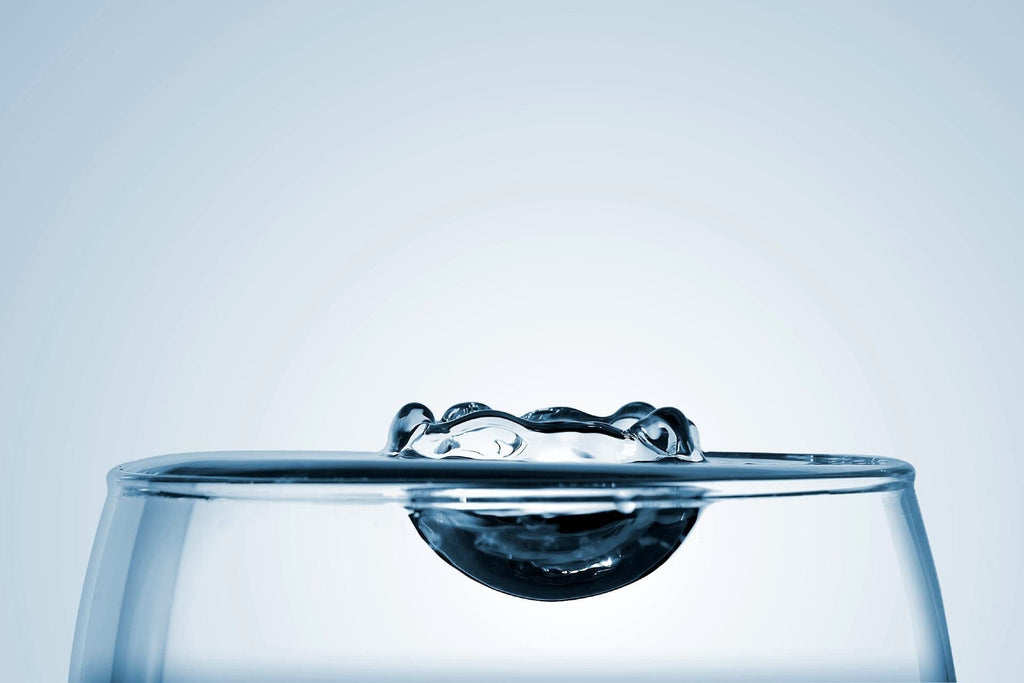 The Importance of Iron in Our Body - Risk and Safety for Health