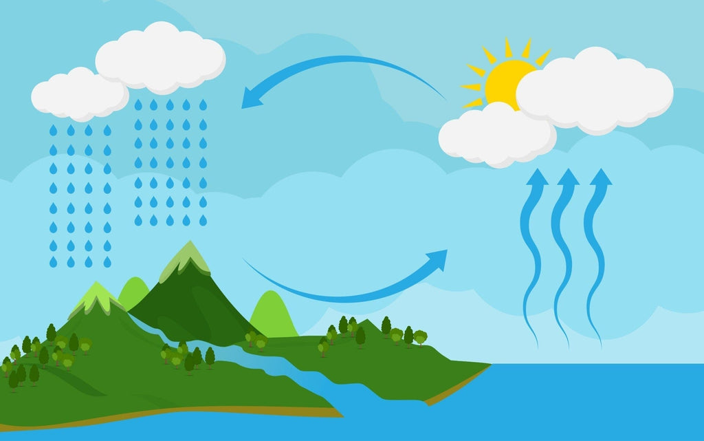 The Journey of Water and Our Lives - How Water Cycle Affects Us