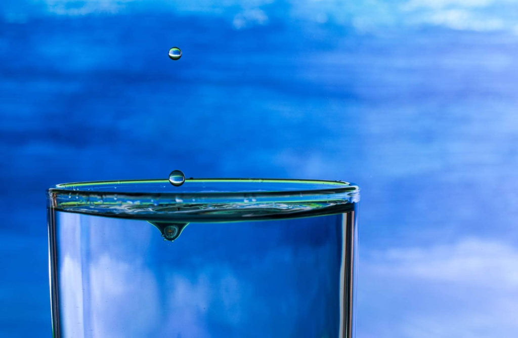 The Need of Clean Water - Who needs it? Why do we need it? How bad do we need clean water?