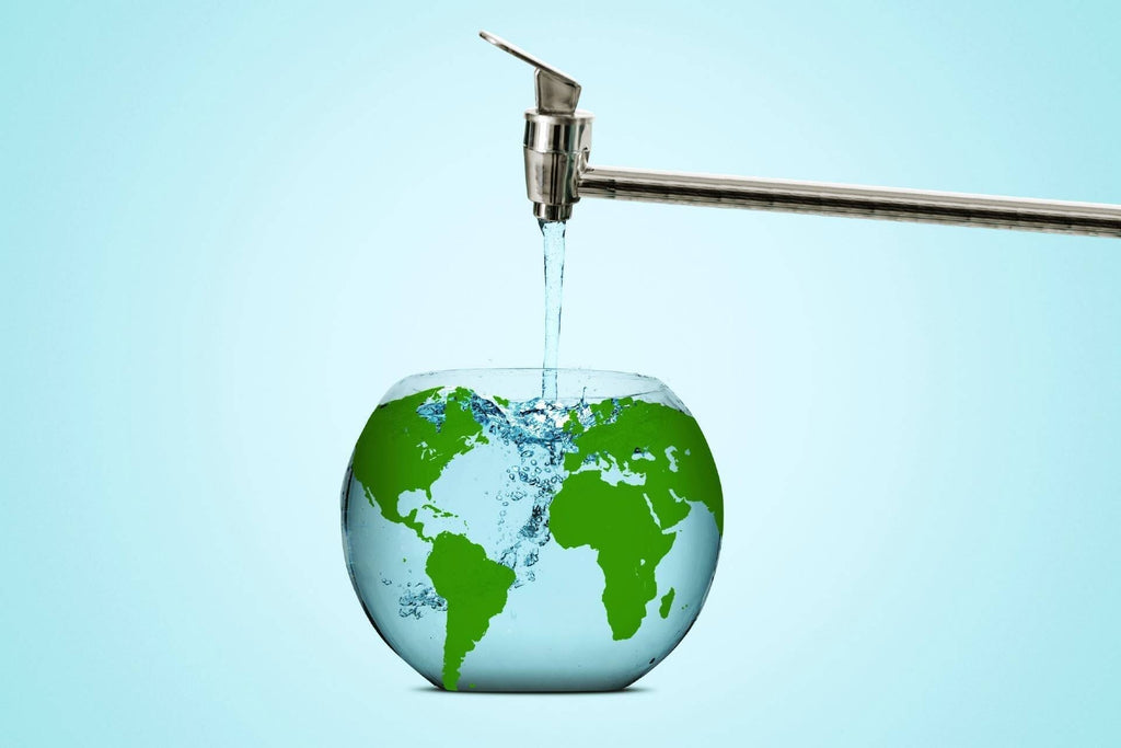 Transparence to Translucence: Devastating Aftermaths to Earth's Agua Life