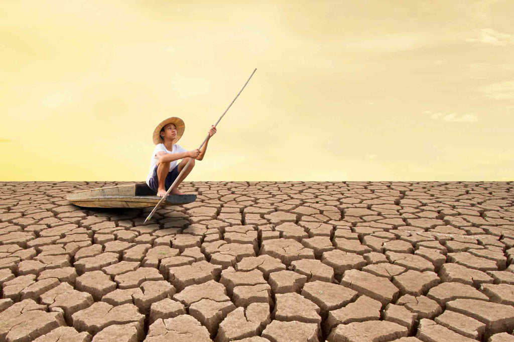 Understanding the Climate Change Drought Connection and Its Impact