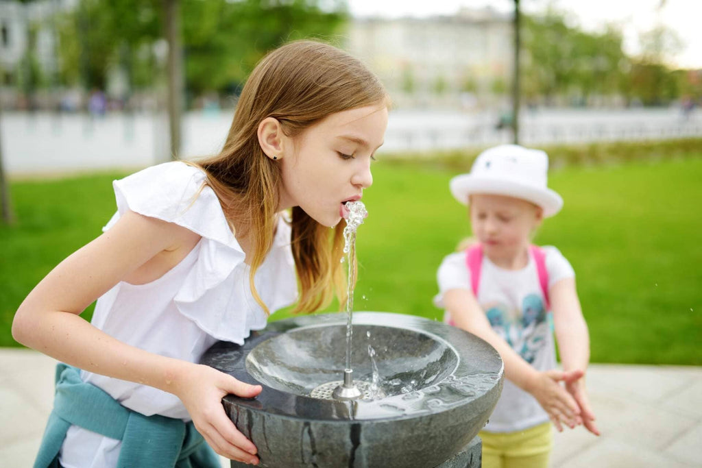 Water Fountain at School: An Assessment of the Drinking Water Condition and its Safeness to Children
