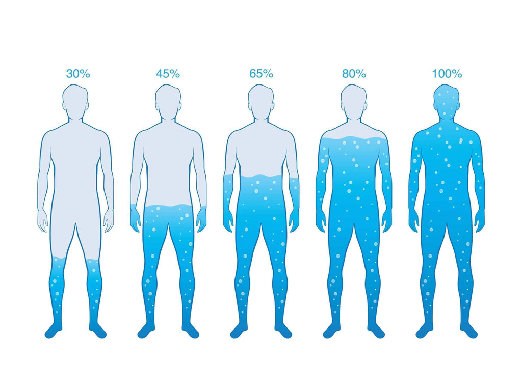 Where does water go after drinking it? The Explanation of Water Absorption into the Body