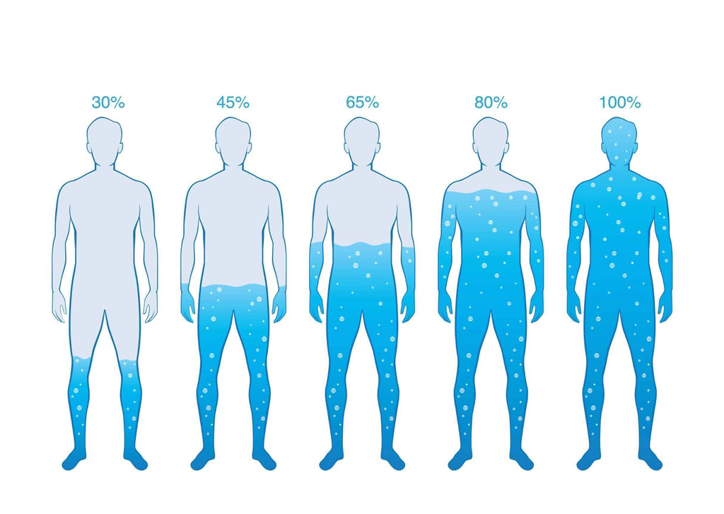 How Does the Body Absorb Water? Water Absorption Explained