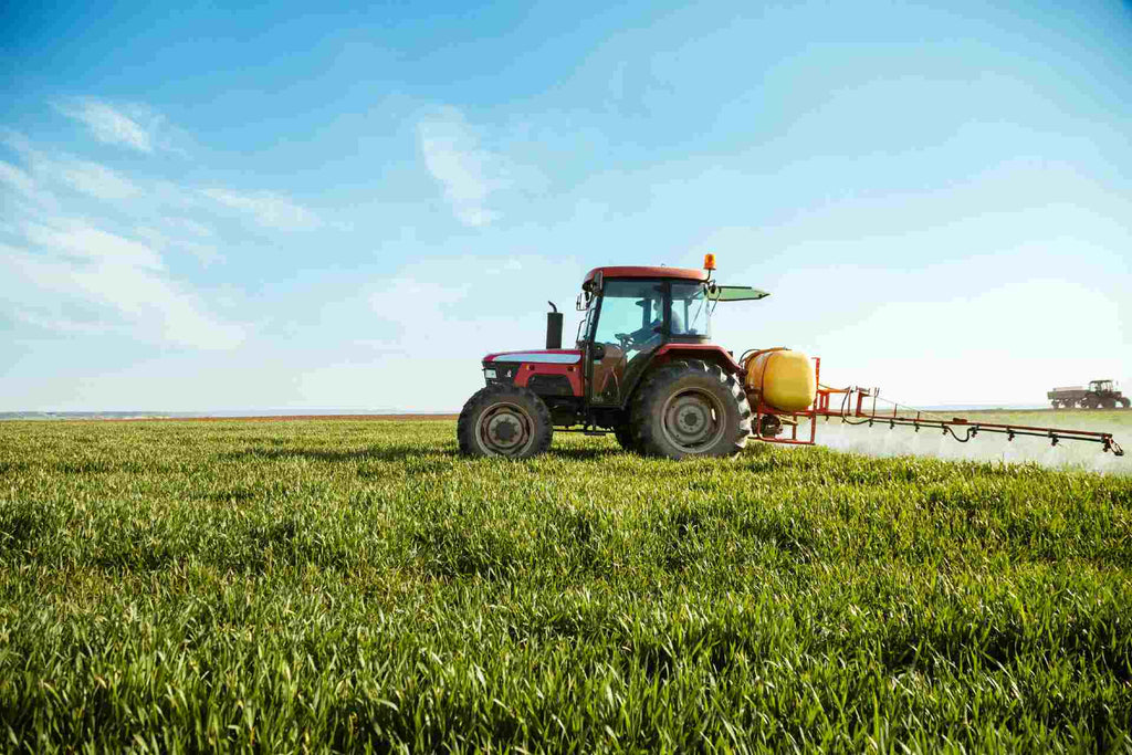 Why Is Herbicide Chemical Glyphosate In Your Food And Water?