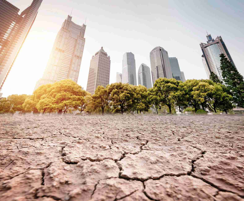 How Drought Conditions Can Affect Local Water Supplies