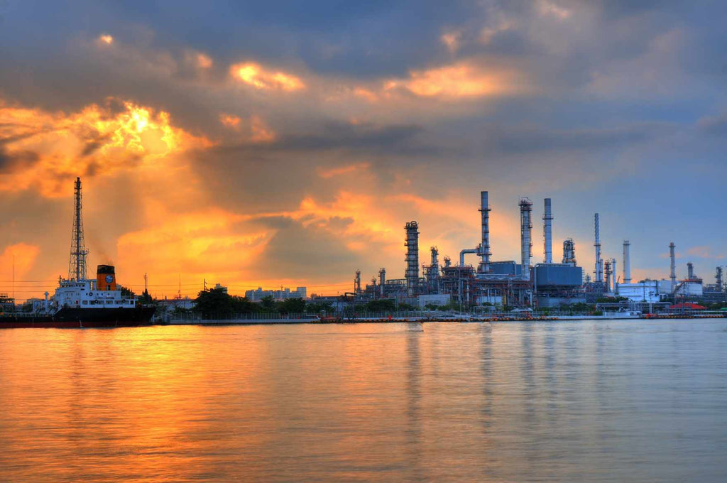 The Disaster of BP Oil Spill 2010 and Its Recovery Today