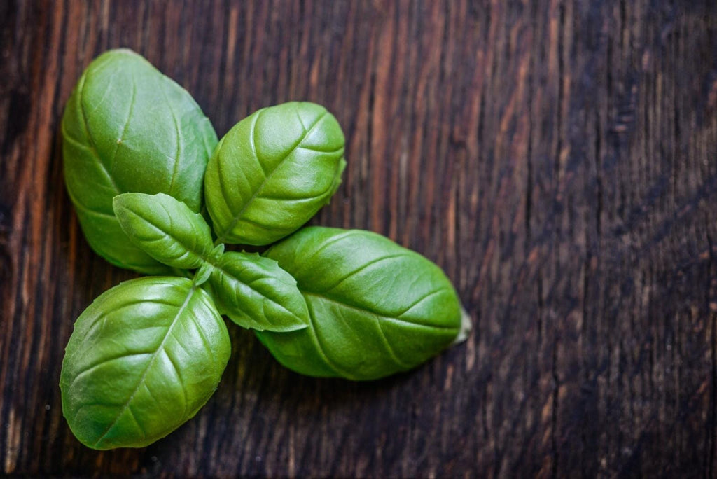 How To Make The Best-Tasting Fresh Basil Water Recipe