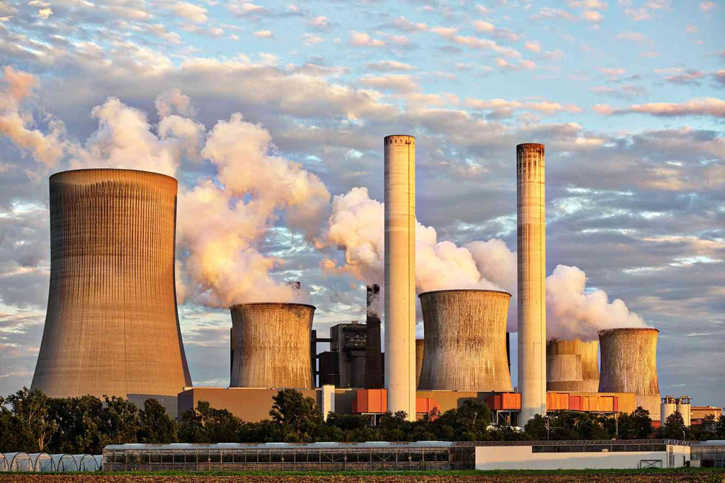 What is Thermal Pollution and Its Effects?