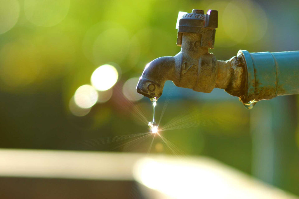 Does Berkey Remove Iron From Drinking Water?