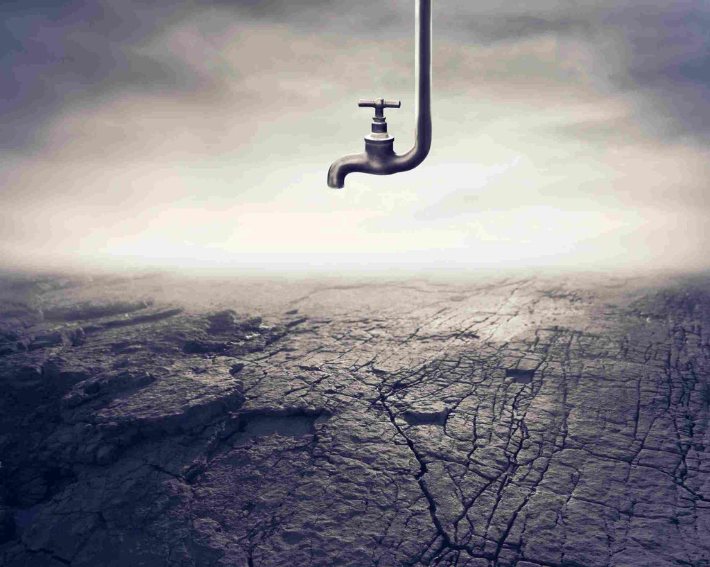 Water Wars: How Water Scarcity Can Fuel Conflict—and Cooperation