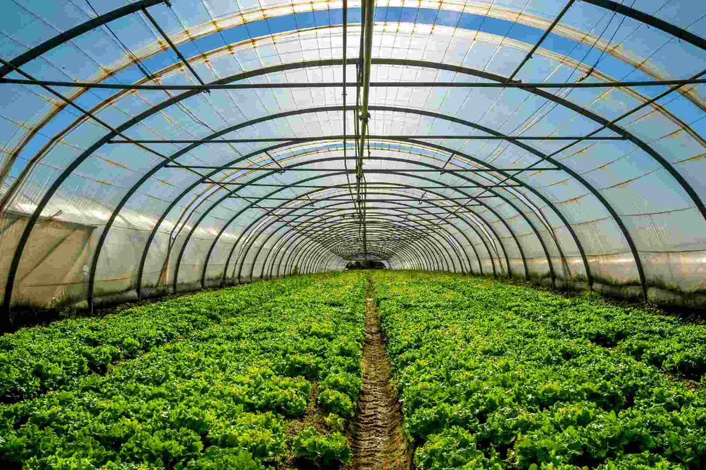 Future Farming: What Does Future Farming Look Like?