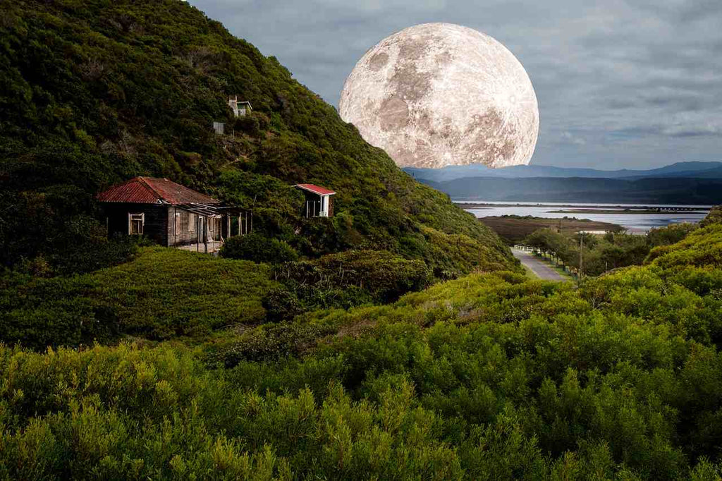 How Does The Moon Cause Tides on Earth?