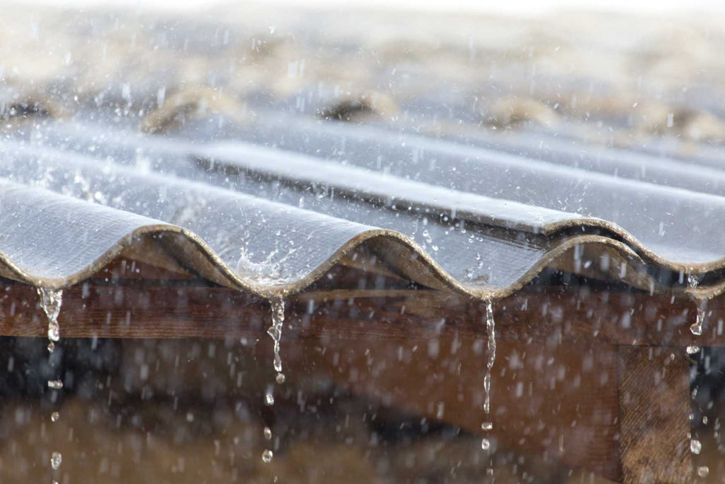 Can You Drink Rainwater? Is Rain Water Safe To Drink?