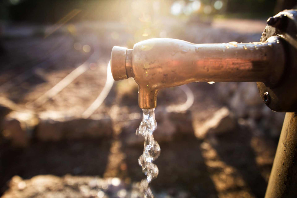 Nitrates in Drinking Water: Risks, Limits & Removal
