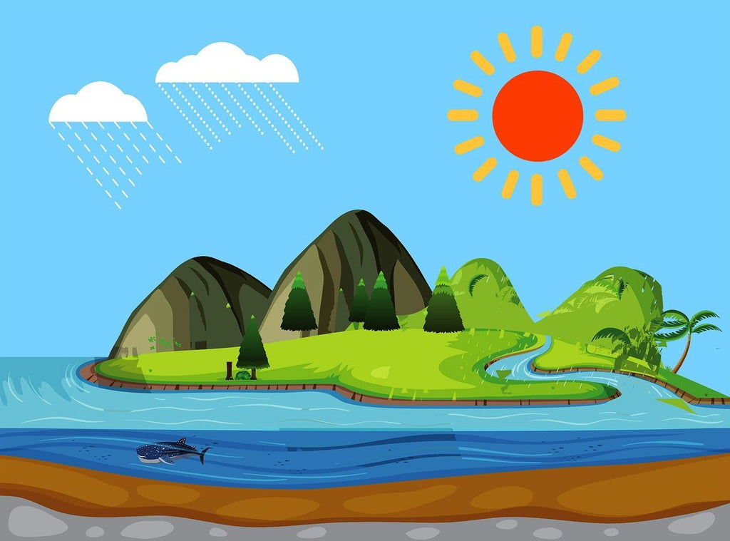 The Journey of Water and Our Lives - How Water Cycle Affects Us