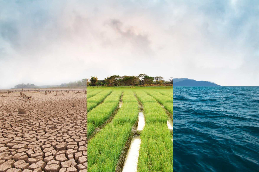 Impacts Of Climate Change On Water Resources - How Does Climate Change Affect Water Availability?