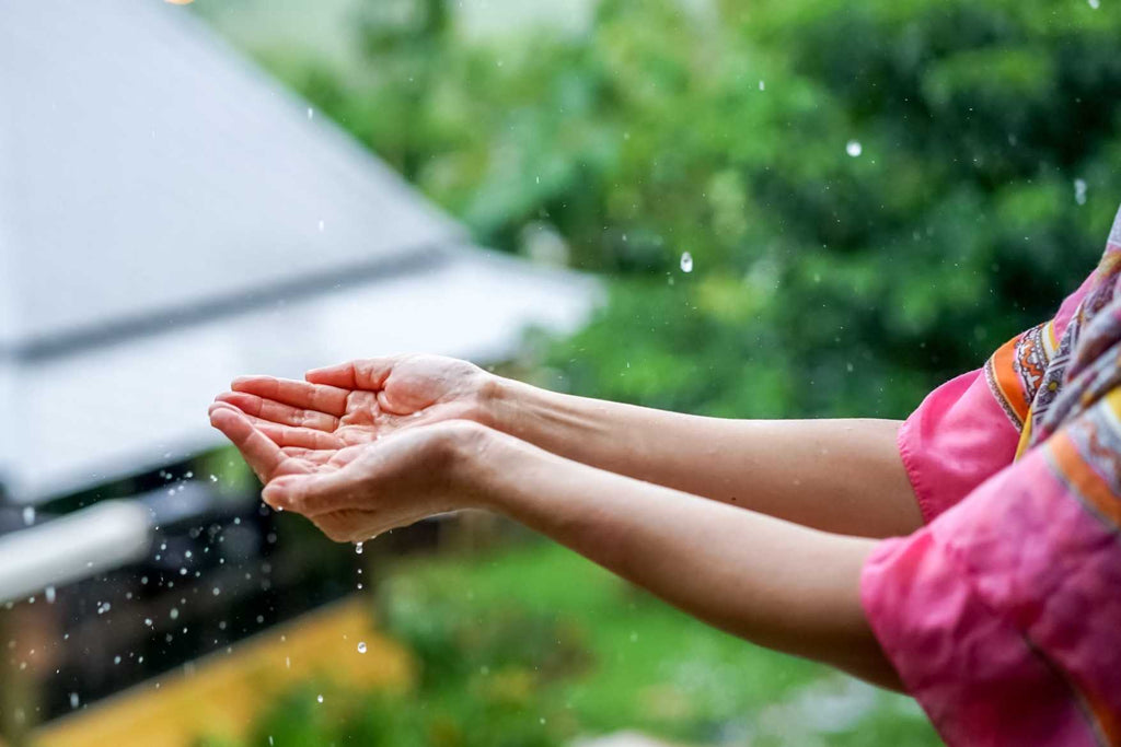 Why Water Quality Can Change After Heavy Rainfall
