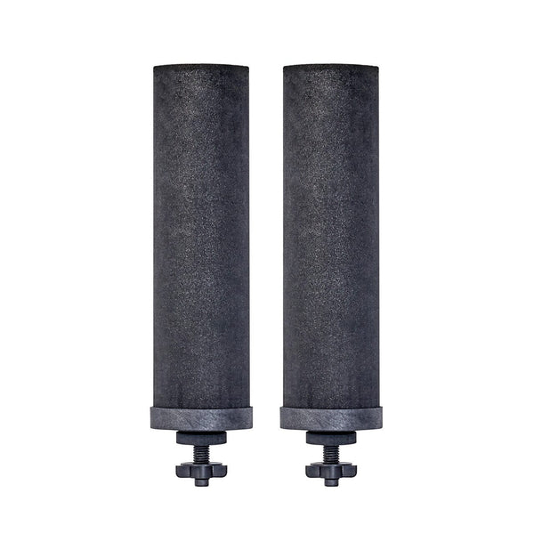 Pair-Black Berkey® Elements are the leader in gravity-fed water filtration