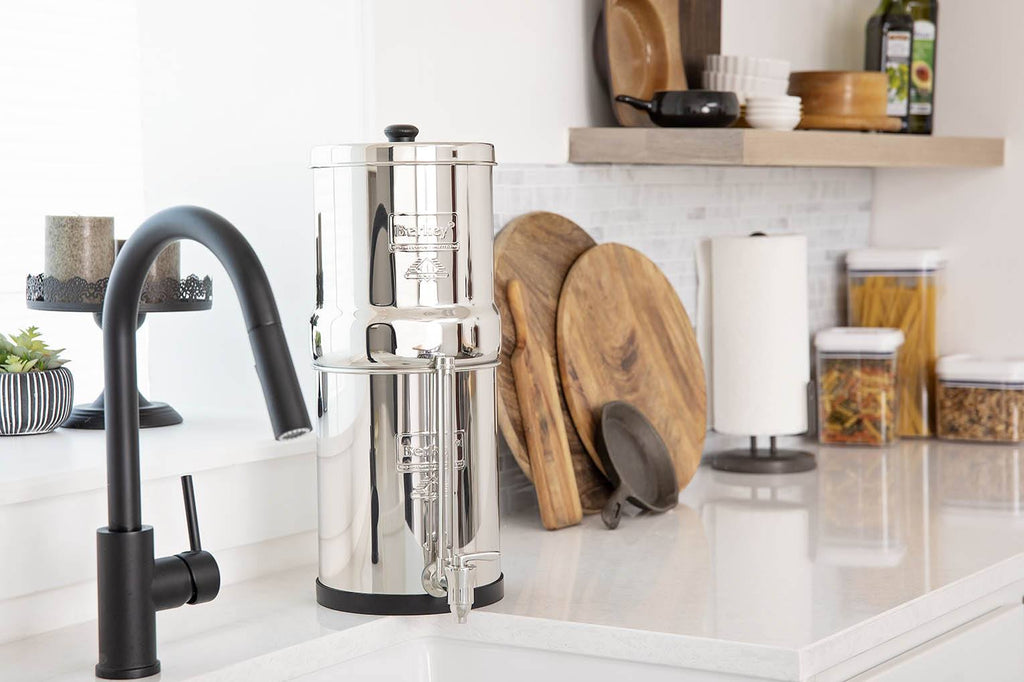 Travel Berkey Water Filter System BUNDLE with 7